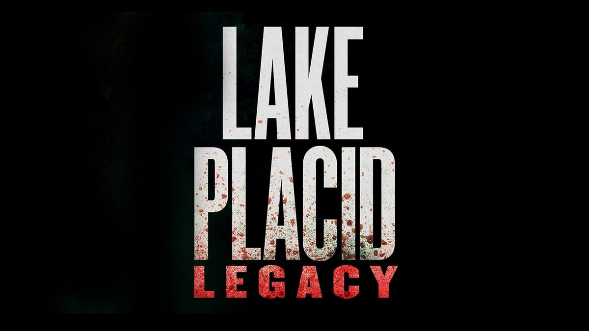 Accessibility and Mobility in Lake Placid See Ongoing Upgrades